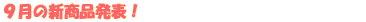 �X���̐V���i ���\�I